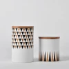 Decoration Handicraft  Modern Ceramic Vase  interior decoration accessories