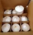 Import Diamond cut tender coconut from Vietnam