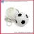 Import Disposable plastic football raincoat from China