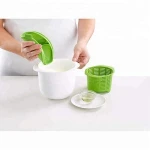 DIY microwave cheese maker Kit