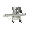 Double head rotary capping machine
