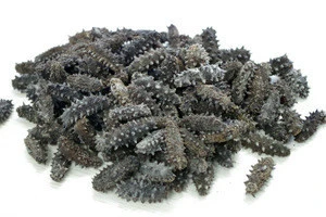 dried sea cucumber 4-5 cm Dried natural grown