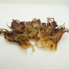 Dried Squid Head/Tentacle