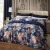 Import Durable And Easy Care Bedsheets Cotton printed Jacquard 4 pieces Bedding Set Duvet Cover Comforter Sets from China