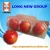 Import E wholesale blister fruit card packaging euro blister pack from Taiwan