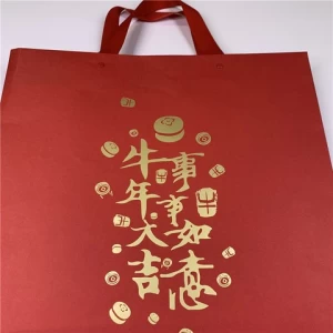 Eco friendly custom printed shopping gift paper bag with logo print