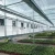 Import Eco-friendly Hot Slae Agriculture Double Layer Film Greenhouse With Aquaponic System from China