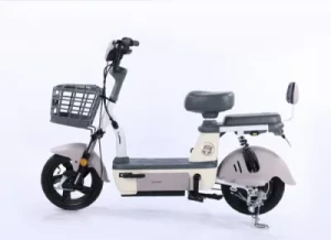 Electric Bike with Pedals 350W Motor Electric Vehicle