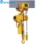 Import electric chain hoist roofing ladder hoist from China