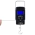 Import Electronic Hook Digital Weighing Hanging Other Fishing Products Luggage Scale from China