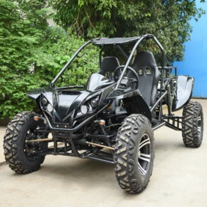 Exclusive Design  1100cc 4x4 buggy/go kart with EEC EURO4,COC is available