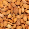 Factory Competitive Almond Wholesale Price