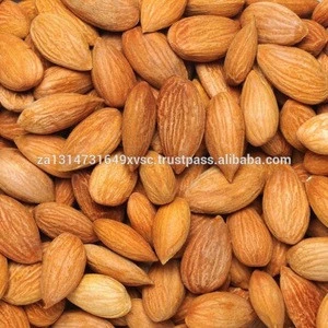 Factory Competitive Almond Wholesale Price