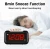 Import Factory Customized Smart Digital Clock Brightness Adjustment Usb Alarm Clock Charging Port from China