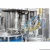 Import Factory Supplier Glass Bottle Beverage  Hot Filling Machine/Juicer Production Line Processing Machine Price from China