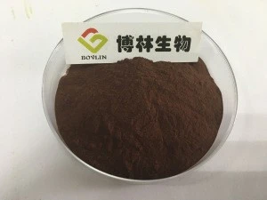 Factory Supply Best Price Alkalized Cocoa Powder Malaysia for Sale