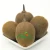 Import Farm supply quality fresh kiwi fruit picked inJuly. Aug. from China