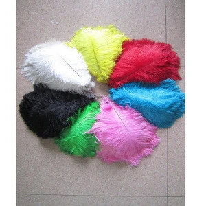 Fashion Colorful Party Dyed Pattern and Ostrich Feather Material Feathers For Sale Cheap