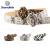 Import Fashion various patterns ladies slim PU belt, cheap thin leather belt for girls from China