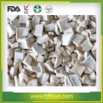 FD Mushroom Freeze Dried Mushroom