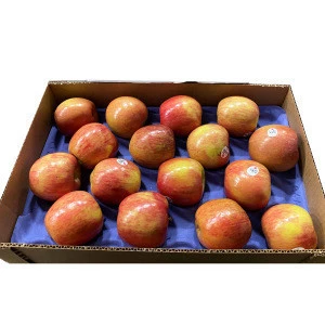Fresh apple exporters fruit Fuji Apple