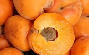 Fresh Apricots for sale