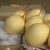 Import Fresh Asian Pear Ya Pear Type with Wholesales Price from China