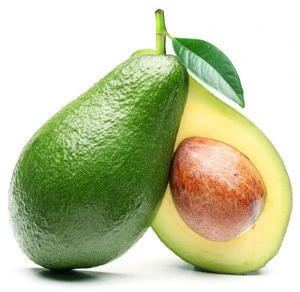 Fresh Avocado from USA - High Standard - &quot;&quot;