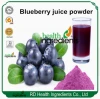 fresh blueberry powder instant drink fruit powder