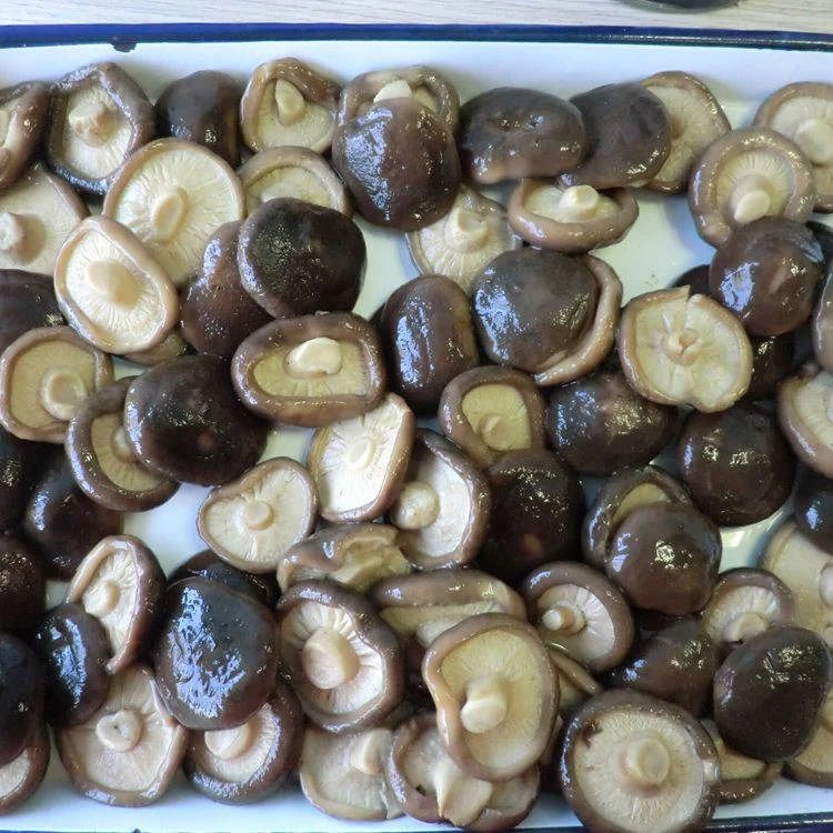 fresh canned  shiitake mushrooms in brine with good quality