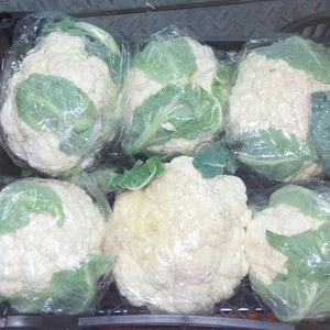 Fresh Cauliflower from Egypt , Egyptian fresh cauliflower vegetable