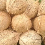 Fresh coconut