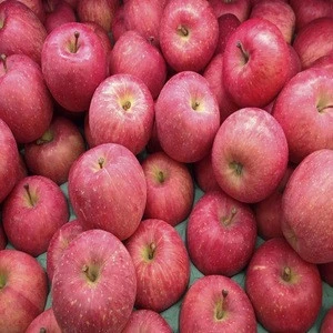Fresh Fruits Red FUJI Apples