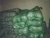 Import Fresh green cabbage from new crop of 2016 export standard from China