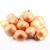 Import Fresh Onions Yellow  variety fresh vegetables from China