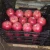 Import Fresh Pomegranates Ready from Canada
