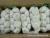 Import Fresh Pure White Normal White garlic supplier in China from China