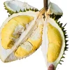 FRESH RI 6 DURIAN EXPORT WHOLESALE -  BEST SELLING HIGH QUALITY WITH BEST PRICE