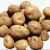 Import Fresh Sweet Potato from Spain
