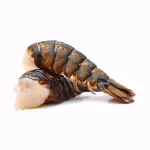 Frozen Bulk Style Packaging Lobster Tails