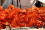 FROZEN LOBSTER / FROZEN LOBSTER TAIL / FRESH LIVE LOBSTER FOR SALE