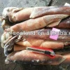 Frozen whole and round illex squid 150-200