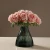 Import Gardening plant cultivation narrow mouth glass floral vase home decorative flower vase from China