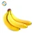 Import Good Price For Wholesale A Type Of Carbohydrate Cavendish Banana Fresh Brands Vietnam from Vietnam