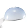 Good quality face and hair ozone spa steamer vaporizer