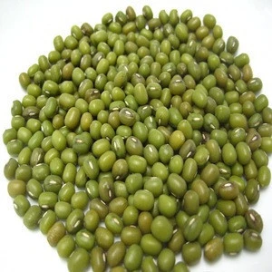 Grade A Green Mung Beans / Green Gram / Vigna radiata (Red Ruby)
