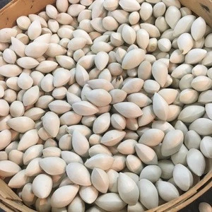 Grade A Quality Ginkgo Nuts For Sale