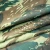 Import Greek Camo Tactical Waterproof Breathable Combat Fabric from China