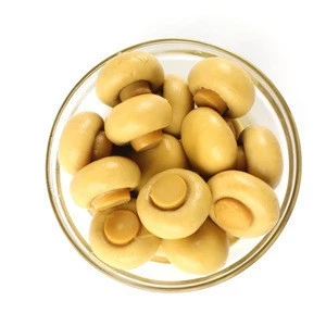 HaiShan Factory Price Canned Mushrom