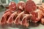 Import HALAL FRESH GOAT MEAT/FRESH LAMB MEAT IN FULL CARCASS from Germany